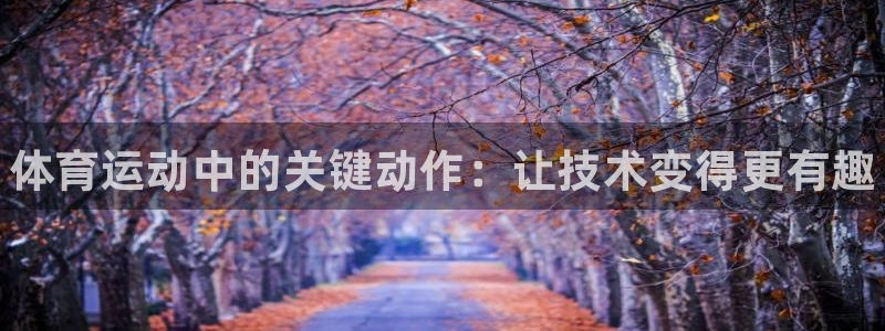 vsport体育官网下载平台是正规平台吗安全吗:体育运动中的