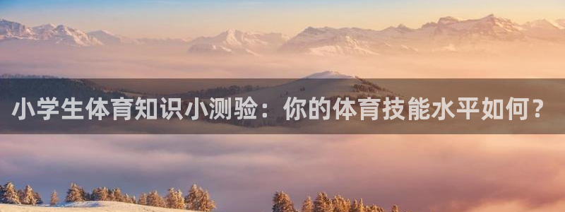 vsport体育官网下载平台是正规平台吗安全吗:小学生体育知