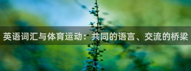 vsport体育官网下载招商电话是多少号码:英语词汇与体育运