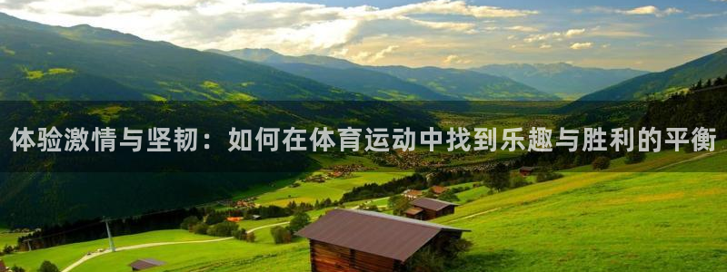 vsport体育官网下载平台注册流程图:体验激情与坚韧:如何